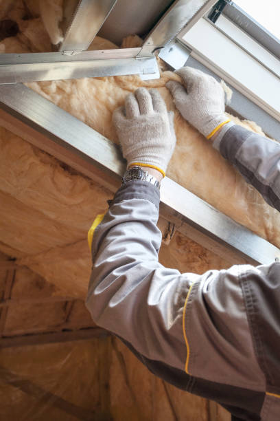 Best Insulation Installation Services in Merrill, IA